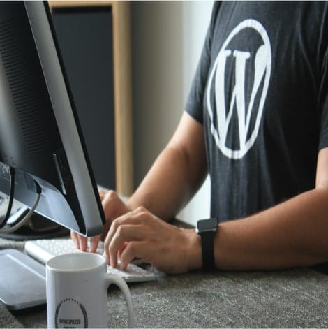 Custom WordPress Development